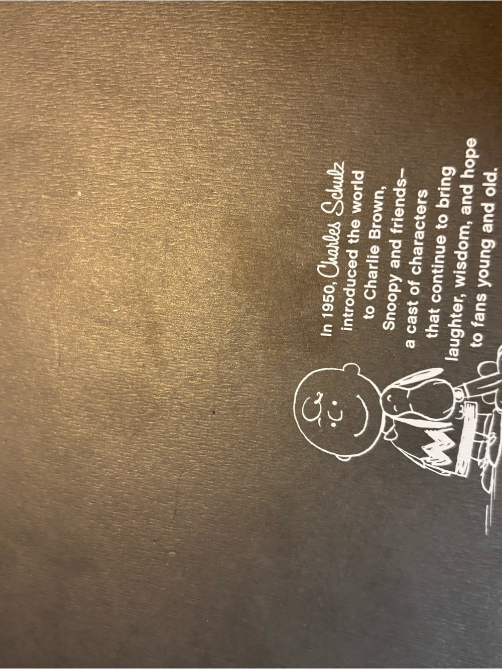 Peanuts Wall Plaque Duo - Picture 5 of 5